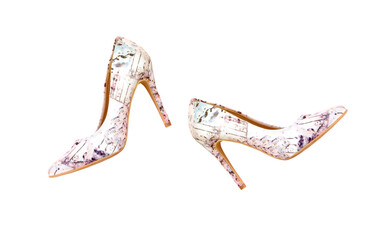 pointy toe women's shoes with high heels isolated on white background. Female classic stiletto...