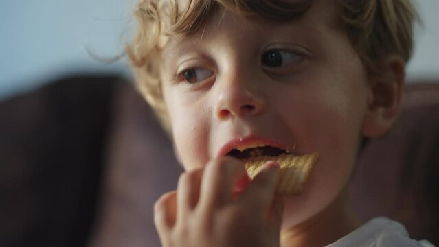 Happy child snacking cookie dessert. One small boy closeup face eating sugar carb food