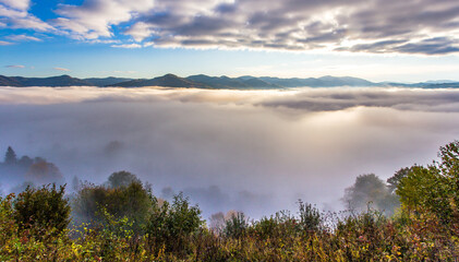 Plakat foggy autumn landscape, wonderful sunset in the mountains, Carpathian mountains, Ukraine, Europe