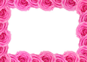 Fototapeta na wymiar Flower frame of pink roses pattern isolated on white background. Banner, mockup, header with copy space. Natural flowers wallpaper, greeting card or invitation