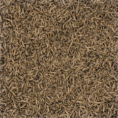 Texture with cricket larvae - 3d illustration