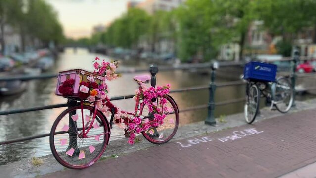 Pink Bicycle On The Bridge In Amsterdam, Tilt Shift Lens