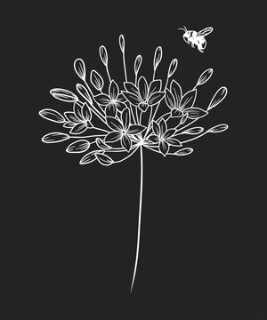 Bee approaches the flowers, black and white vector illustration