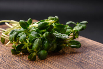 Fresh sprouts or sunflower microgreens on wooden cutting board