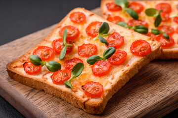 Delicious fresh toast or bruschetta with tomatoes, cheese, herbs, salt and spices