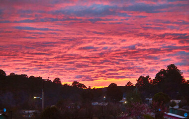 Obraz premium red clouds in the sky, silhouettes of trees, mexiquillo durango 