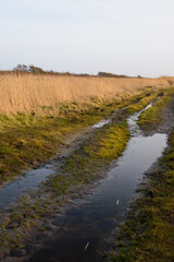 Weg durch die Salzwiesen von St. Peter-Ording Sie sind ein natürlicher Übergang von Land und Meer und ein streng geschützter Lebensraum für ca. 50 Vogelarten und fast 2000 Insekten- und Käferarten.