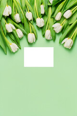 Fresh white tulips and empty white card on light green background. Natural flowers with green leaves. Spring postcard. Mother's day holiday. Greeting card and blossom flat lay. Top view, copy space.