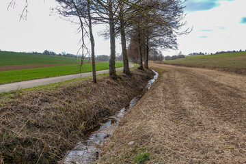 Baumschnitt entlang eines kleinen Baches