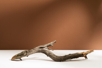 Natural wooden branch with lights and soft shadows on brown background mockup. Rough textured piece of wood or twig for product advertising. Eco spa and beauty display. Minimal wabi sabi concept.