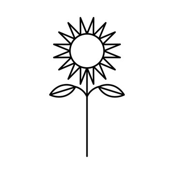 PNG image icon of flowers in lines with transparent background