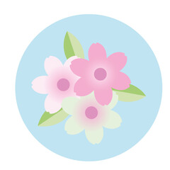 PNG image icon of a flower in a circle with transparent background