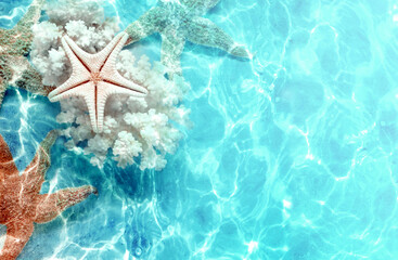 Starfish and coral on the summer beach in sea water. Summer background.