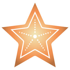 Christmas star PNG image icon with transparent background