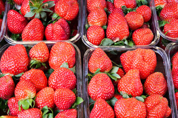  Ripe Red Strawberries in a bowl on table 