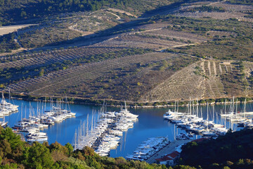 Fototapeta na wymiar Traditional vineyards on the hill and boats in the pier. Landmark in Primosten, Croatia.