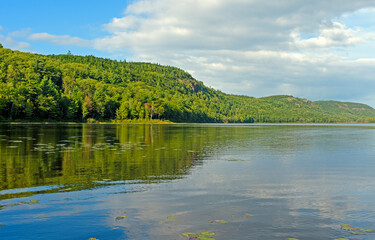 Fototapeta na wymiar Green Forests on a Calm Lake