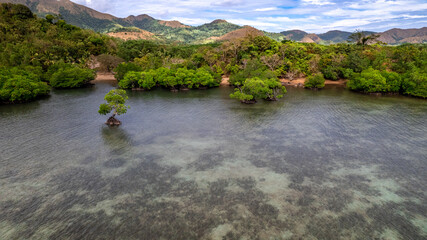 Beach and blue waters