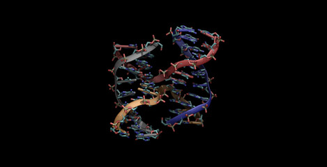 Holliday junction in an inverted repeat DNA sequence 3D molecule 4K
