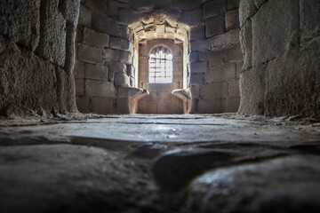 Granadilla castle interior, Caceres, Spain