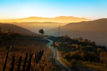 Sunset over ancient terraced vineyards in the romantic Douro Valley near the village of Pinhão, a...