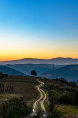 View from the viewpoint and sunset of terraced vineyards in the romantic Douro valley near the...
