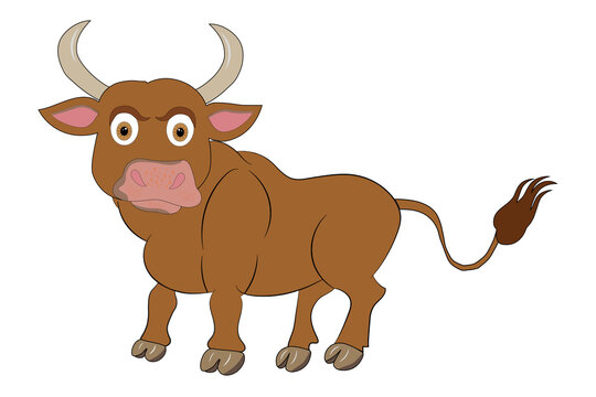 Brown bull on white background