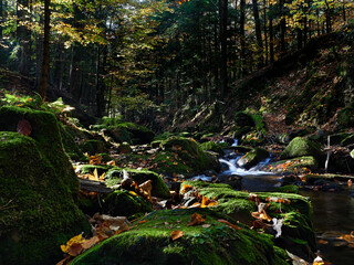Górski potok jesienią