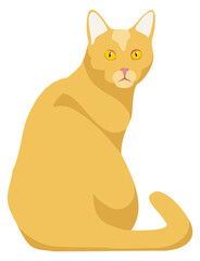Angry kitten. Yellow cat look from back. Cartoon pet