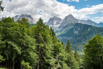 Peaks of the Dolomites behind an alpine forest