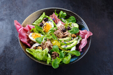 Traditional German leaf salad and Italian radicchio served with tuna, avocado and vegetables as a creative and flavorful full meal in a design bowl with text space