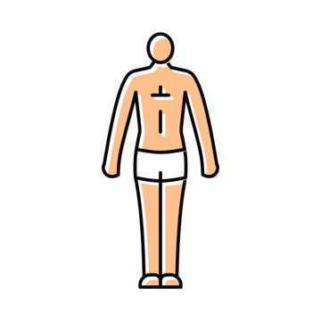 ectomorph male body type color icon vector illustration