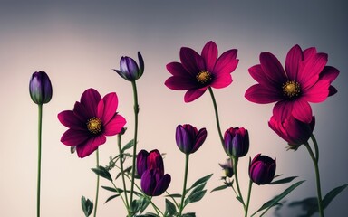 Obraz na płótnie Canvas Flowers, soft and beautiful scene, with a blurred gradient backdrop. Generative AI.