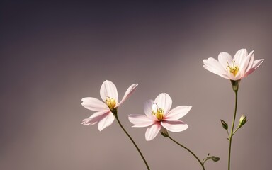 Obraz premium Flowers, soft and beautiful macro shot, with a blurred gradient backdrop. Generative AI.