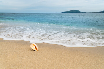 Obraz premium Sea snail in the sand. Summer beach with waves background. The idea of loneliness