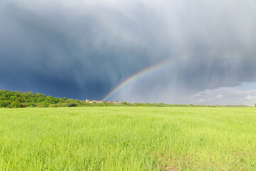 Multicolored rainbow over a green field, freshness after rain. Approaching thunderstorm.