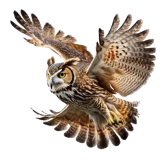 Küchenrückwand glas motiv Owl on isolated transparent background. Owl is flying. macro, incredible pollinator, Ultra realistic AI © ayselucar