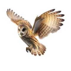 Raamstickers Owl on isolated transparent background. Owl is flying. macro, incredible pollinator, Ultra realistic AI © ayselucar