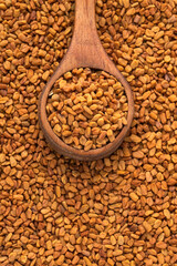 Dried organic fenugreek seeds in the spoon - Trigonella foenum-graecum