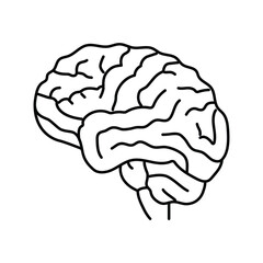 human brain human line icon vector illustration