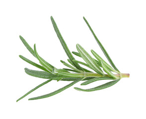 Rosemary  transparent png