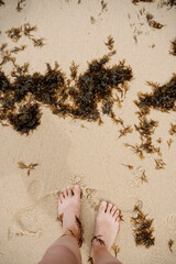 Piedi di donna su spiaggia con molte alghe, in Algarve, Portogallo