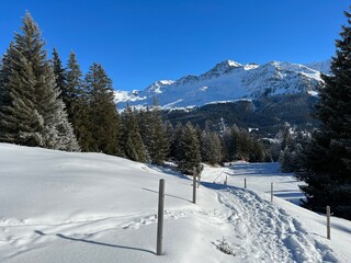 Fototapeta na wymiar Wonderful winter hiking trails and traces after the winter snowfall above the tourist resorts of Valbella and Lenzerheide in the Swiss Alps - Canton of Grisons, Switzerland (Schweiz)