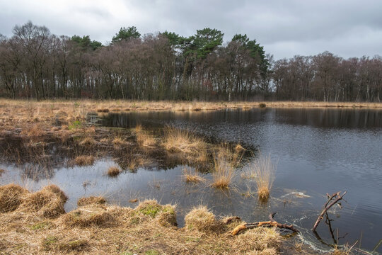 Heideweiher Naturschutz-und FFH-Gebiet F&uuml;rstenkuhle, Gescher