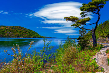 Sargent Cove in Acadia National Park