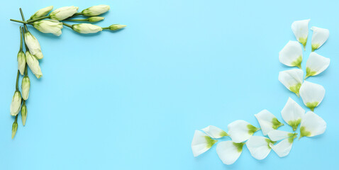 Composition with beautiful eustoma flowers and petals on light blue background
