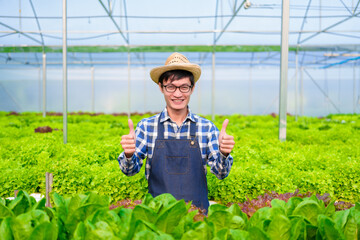 Naklejka na ściany i meble Young Asian smart farmer working with smart agriculture organic hydroponic vegetable greenhouse, Butterhead Lettuce, Green Oak, Red Oak for vegan salad.
