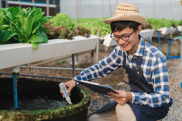 Young Asian smart farmer working in green oak hydroponic greenhouse, checking the balance of...