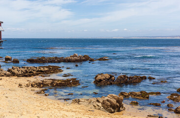 Fototapeta na wymiar Rocky beach at Monterey, California