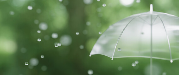 木や葉っぱの背景に透明の傘。雨が降っているイメージ。梅雨、雨のイメージ。
